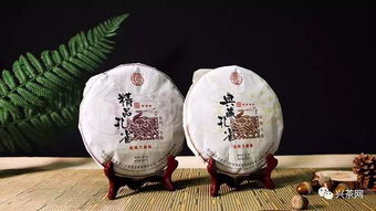 興茶視角 茶企需要爆款還是經典產品？