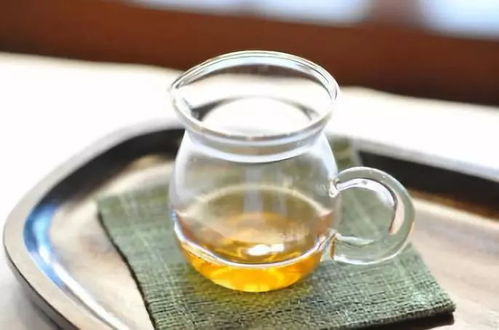 普洱茶 是紅茶還是綠茶？——探究普洱的獨特分類與日常品飲之道